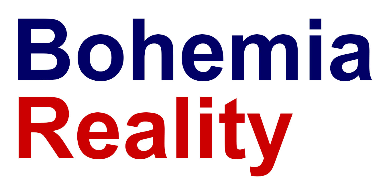 Primary Raster logo